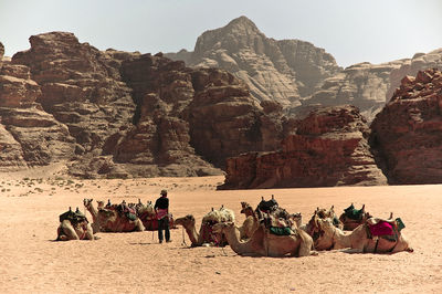 odpoczynek
odpoczynek na  pustyni Wadi Rum w Jordanii
Keywords: Wadi Rum pustynia Jordania beduini wielbłądy